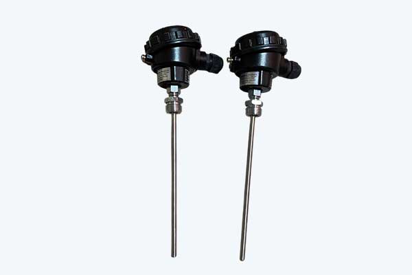 RTD Sensor