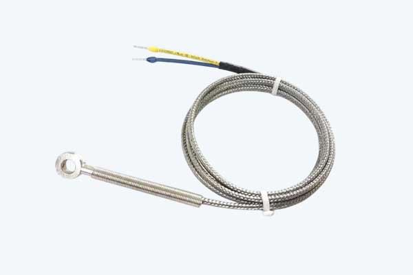 RTD Sensor