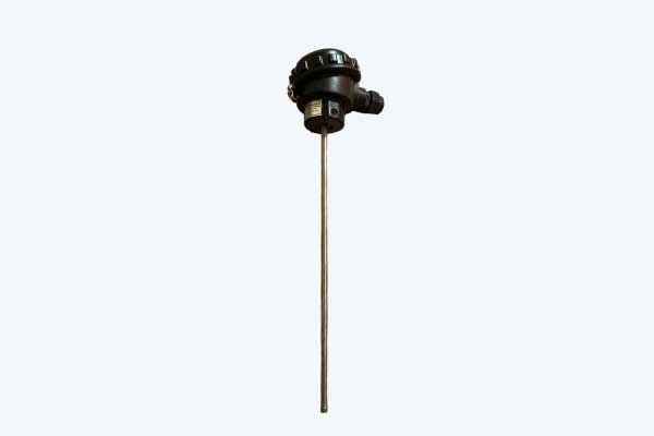 RTD Sensor